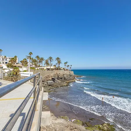 Canarian - Gran Canaria *